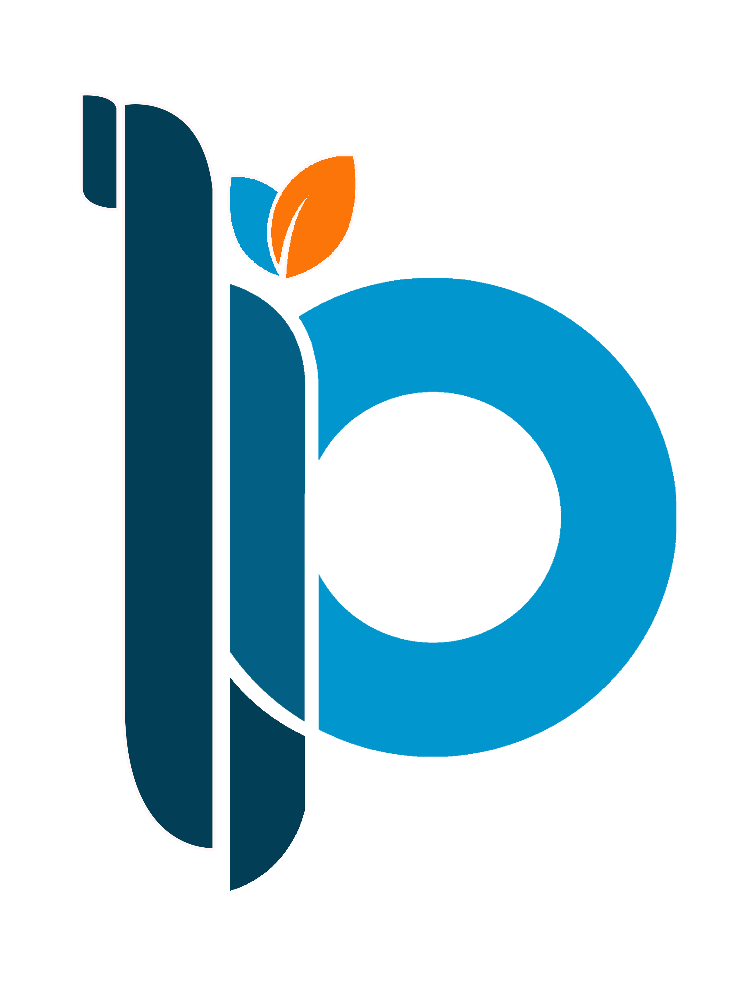 Foto Mitra BSIP